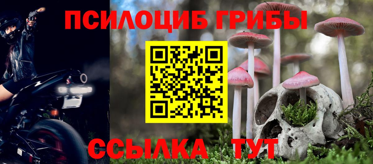 Галлюциногенные грибы мицелий  Галлюциногенные грибы Cubensis  Изобильный  Вход с VPN 
